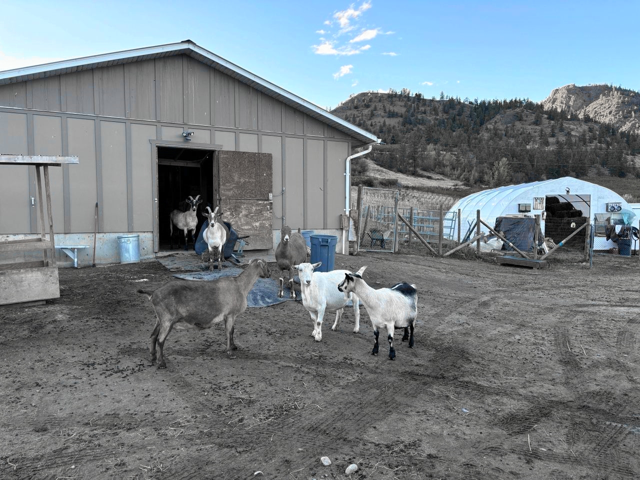 Acres Is Caring For Our Community